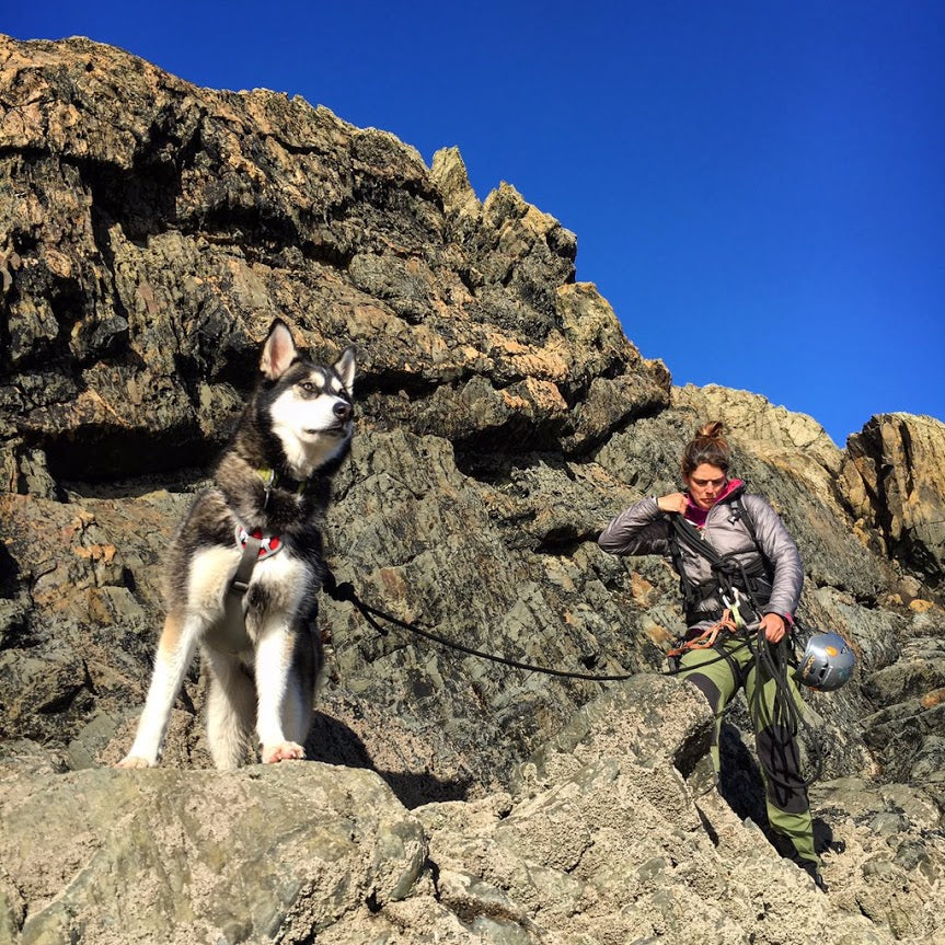 Ruffwear Doubleback Harness - Husky